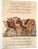 Ms Ar 5847 f.101, Herd of camels by Yahya ibn Mahmud Al-Wasiti