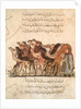 Ms Ar 5847 f.101, Herd of camels by Yahya ibn Mahmud Al-Wasiti