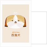 Shih tzu, 2019 by Léa Le Pivert