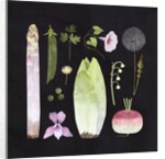 Veggies and Blooms, 2023 by Léa Le Pivert