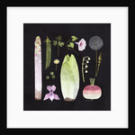 Veggies and Blooms, 2023 by Léa Le Pivert