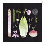 Veggies and Blooms, 2023 by Léa Le Pivert