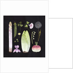 Veggies and Blooms, 2023 by Léa Le Pivert