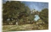 Landscape with a Path Leading to the Etang a la Dame by Constant-Emile Troyon