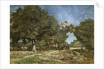 Landscape with a Path Leading to the Etang a la Dame by Constant-Emile Troyon