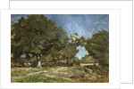 Landscape with a Path Leading to the Etang a la Dame by Constant-Emile Troyon