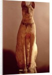 Coffin of a cat protected by the goddess Bastet by Egyptian Egyptian