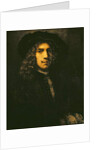 Portrait of a Young Man, 1658 by Rembrandt Harmensz. van Rijn