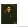 Portrait of a Young Man, 1658 by Rembrandt Harmensz. van Rijn