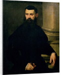 Portrait of a Man by Jacopo Robusti Tintoretto