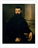 Portrait of a Man by Jacopo Robusti Tintoretto