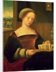Mary Magdalene Reading by Master of Female Half Lengths