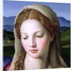 Holy Family with St. Anne and the infant St. John the Baptist, c.1550 by Agnolo di Cosimo Bronzino