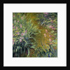 Iris by Claude Monet