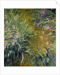Iris by Claude Monet