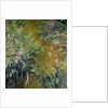 Iris by Claude Monet