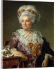 Portrait of Madame Charles-Pierre Pecoul, nee Potain, mother-in-law of the artist, 1784 by Jacques Louis David