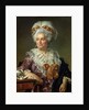 Portrait of Madame Charles-Pierre Pecoul, nee Potain, mother-in-law of the artist, 1784 by Jacques Louis David