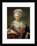 Portrait of Madame Charles-Pierre Pecoul, nee Potain, mother-in-law of the artist, 1784 by Jacques Louis David