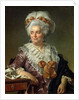 Portrait of Madame Charles-Pierre Pecoul, nee Potain, mother-in-law of the artist, 1784 by Jacques Louis David
