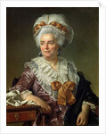 Portrait of Madame Charles-Pierre Pecoul, nee Potain, mother-in-law of the artist, 1784 by Jacques Louis David