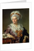 Portrait of Madame Charles-Pierre Pecoul, nee Potain, mother-in-law of the artist, 1784 by Jacques Louis David