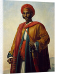 Portrait of an Indian by Anne Louis Girodet de Roucy-Trioson