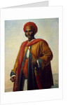 Portrait of an Indian by Anne Louis Girodet de Roucy-Trioson