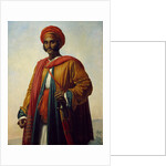 Portrait of an Indian by Anne Louis Girodet de Roucy-Trioson