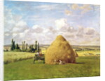 The haystack, Pontoise, 1873 by Camille Pissarro