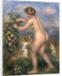 Female nude picking flowers by Pierre Auguste Renoir