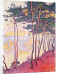 Sailing boats and pine trees, 1896 by Paul Signac