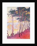 Sailing boats and pine trees, 1896 by Paul Signac