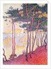 Sailing boats and pine trees, 1896 by Paul Signac