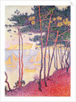 Sailing boats and pine trees, 1896 by Paul Signac