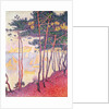 Sailing boats and pine trees, 1896 by Paul Signac