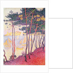 Sailing boats and pine trees, 1896 by Paul Signac