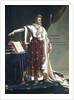 Portrait of Napoleon I in his Coronation Robes, 1804 by Anne Louis Girodet de Roucy-Trioson
