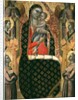 Madonna and child enthroned with six angels by Allegretto Nuzi