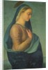 Madonna by Benedetto Cavalucci