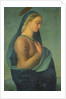 Madonna by Benedetto Cavalucci