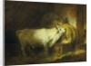 The White Bull in the Stable by Jean-Honore Fragonard