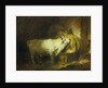 The White Bull in the Stable by Jean-Honore Fragonard