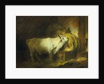 The White Bull in the Stable by Jean-Honore Fragonard