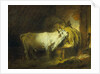 The White Bull in the Stable by Jean-Honore Fragonard