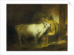 The White Bull in the Stable by Jean-Honore Fragonard