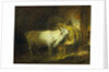 The White Bull in the Stable by Jean-Honore Fragonard