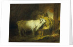 The White Bull in the Stable by Jean-Honore Fragonard