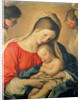 The Sleeping Christ Child by Il Sassoferrato