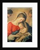 The Sleeping Christ Child by Il Sassoferrato